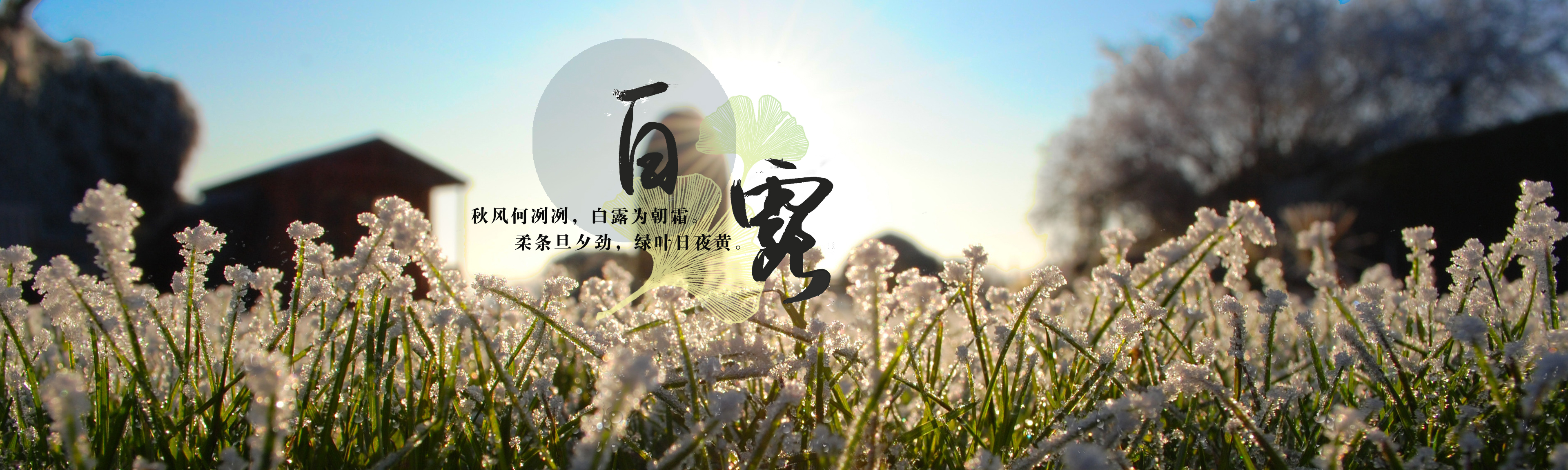 BG��Ѷ��(���μ���)Ψһ�ٷ���վ